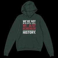 Load image into Gallery viewer, We&#39;re Not Radical We Just Remember History Uni-Sex Hoodie
